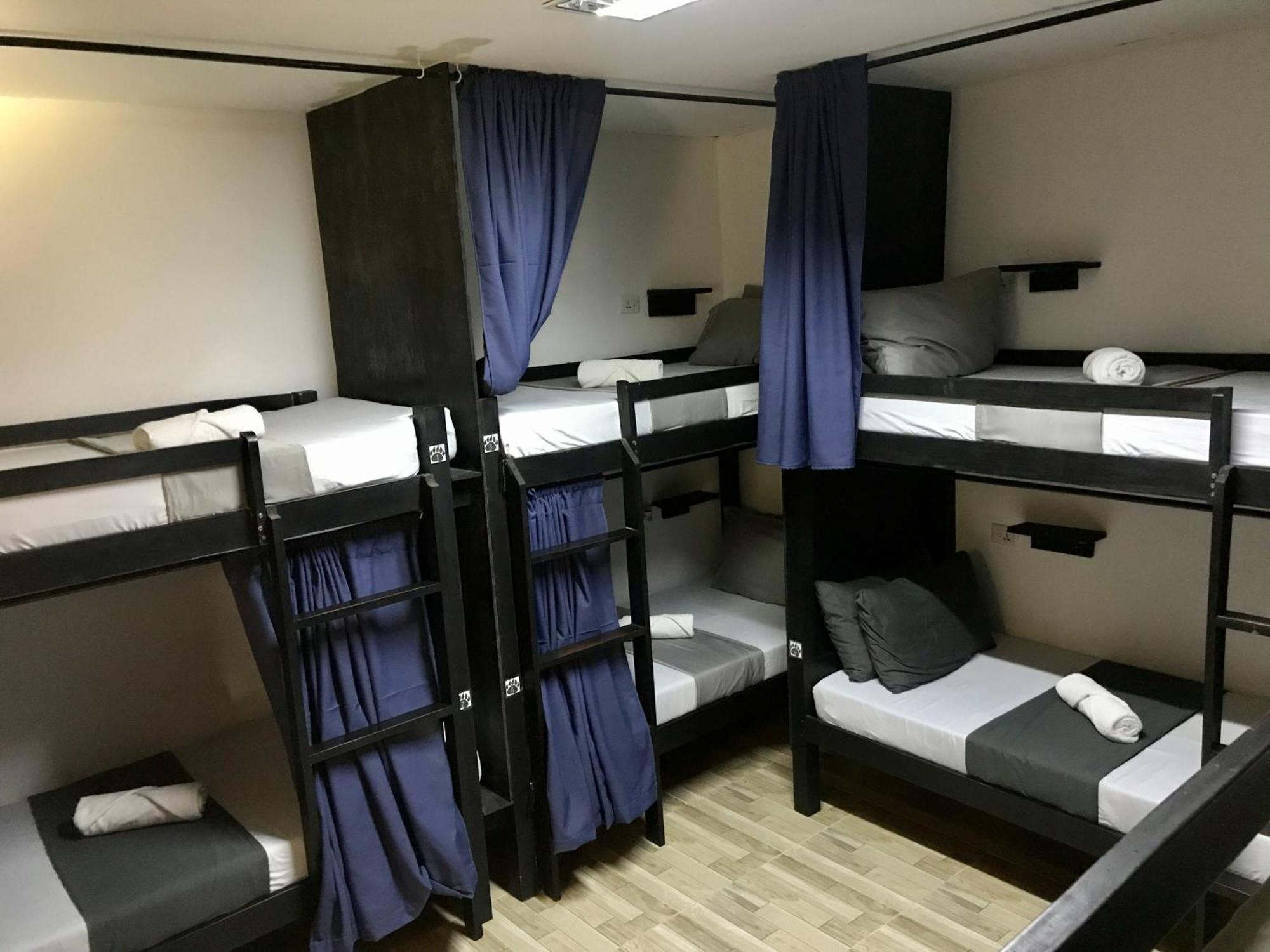 Crazy Bears Hostel Moalboal Luaran gambar