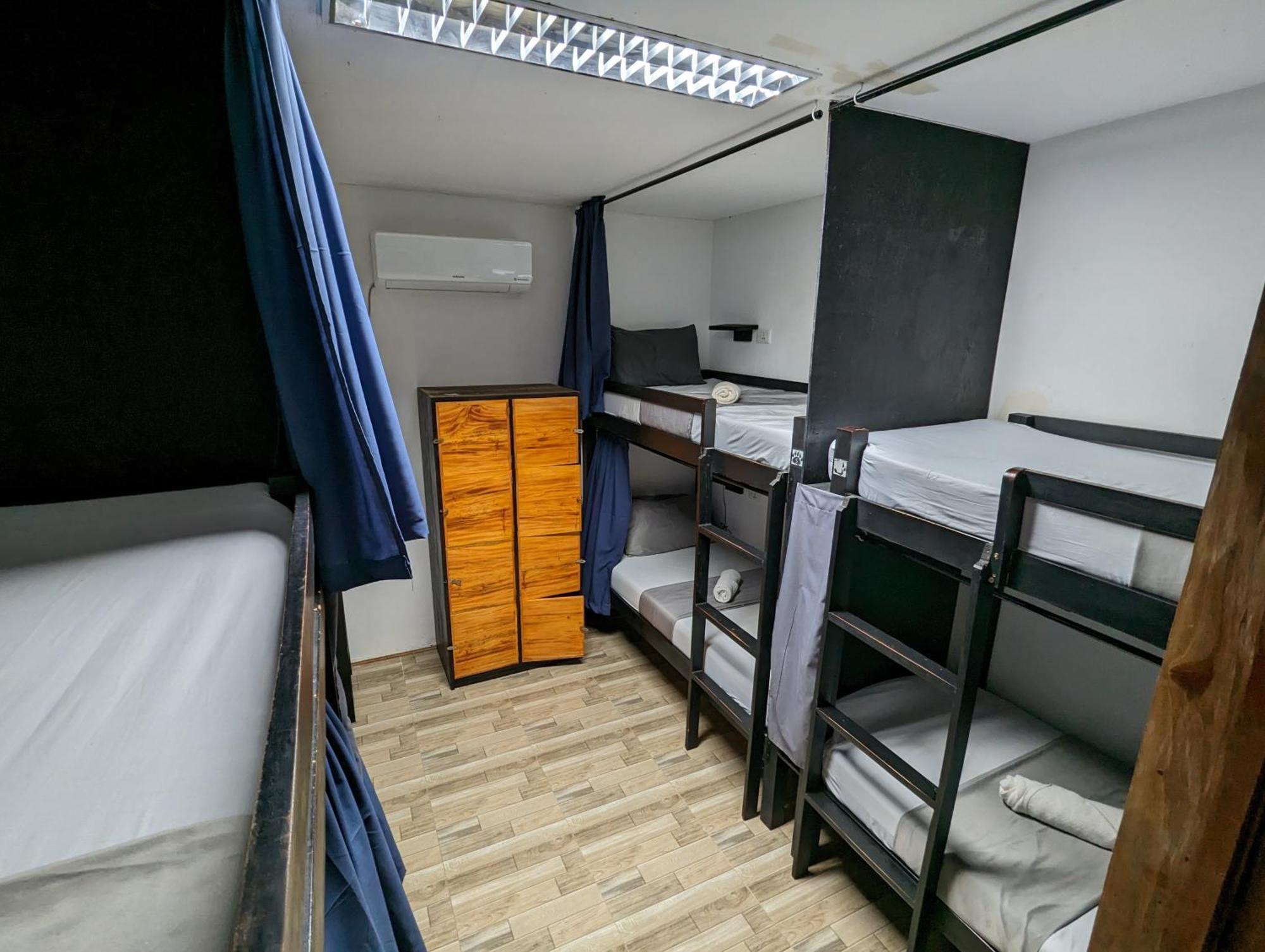 Crazy Bears Hostel Moalboal Luaran gambar