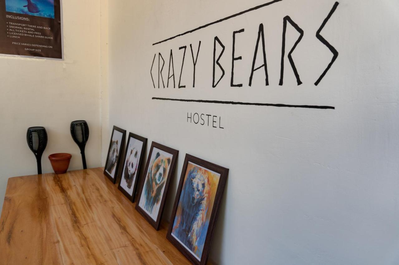 Crazy Bears Hostel Moalboal Luaran gambar